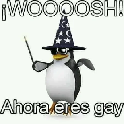 soy admin