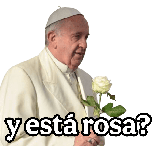 papa Francisco 😎 preview