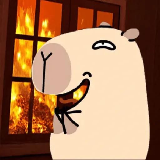 🦫 Capibara 🦫