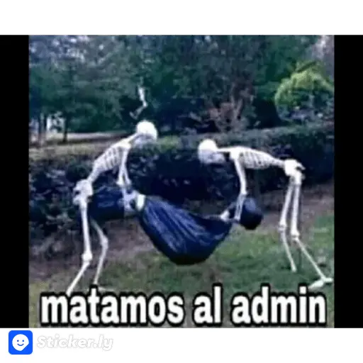 soy admin