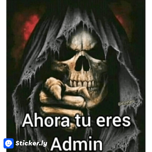 soy admin preview