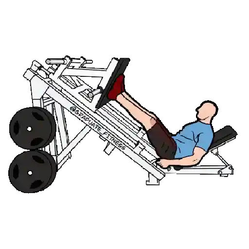 GYM TREINO ACADEMIA