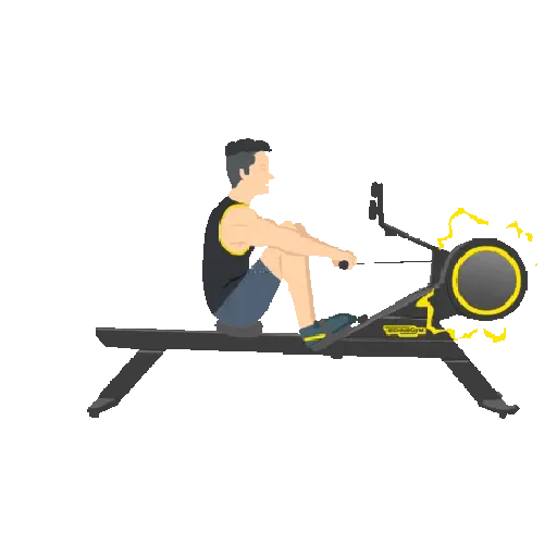 GYM TREINO ACADEMIA
