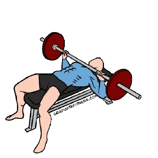 GYM TREINO ACADEMIA