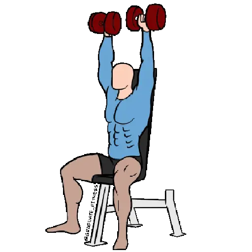 GYM TREINO ACADEMIA