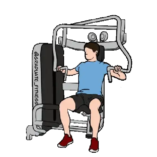 GYM TREINO ACADEMIA