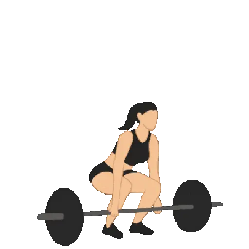 GYM TREINO ACADEMIA