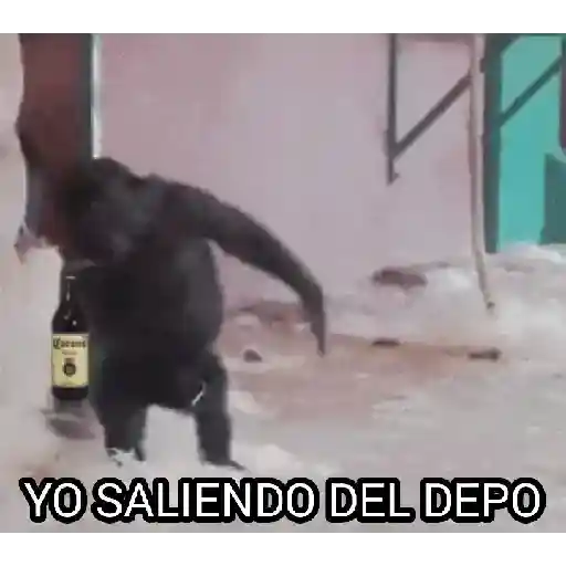 Pa la peda 🍻