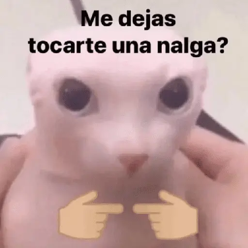 Calientes - coqueteo 😋🔥