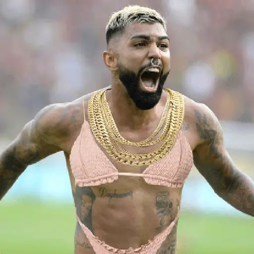 flamengo memee