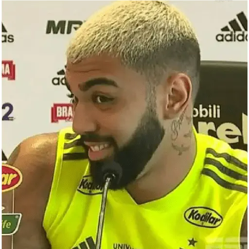 flamengo memee