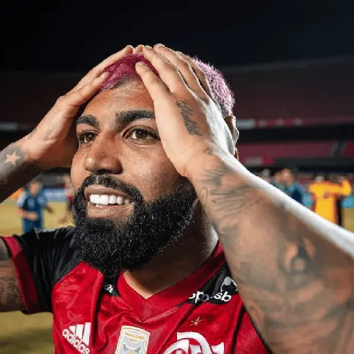 flamengo memee