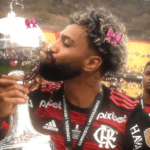 flamengo memee preview