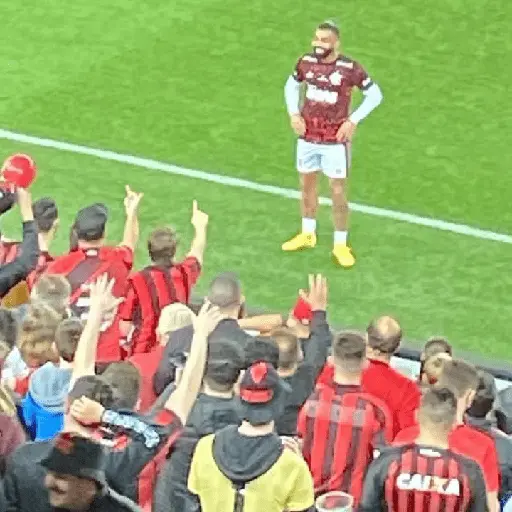 flamengo memee