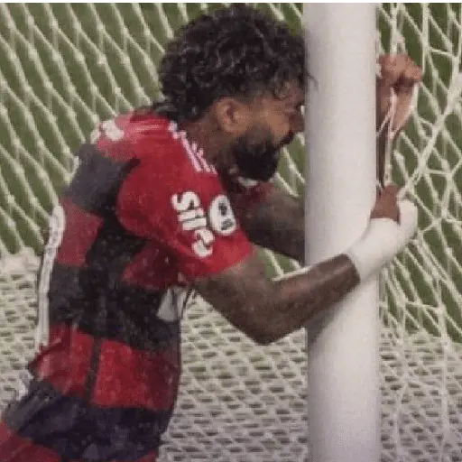 flamengo memee