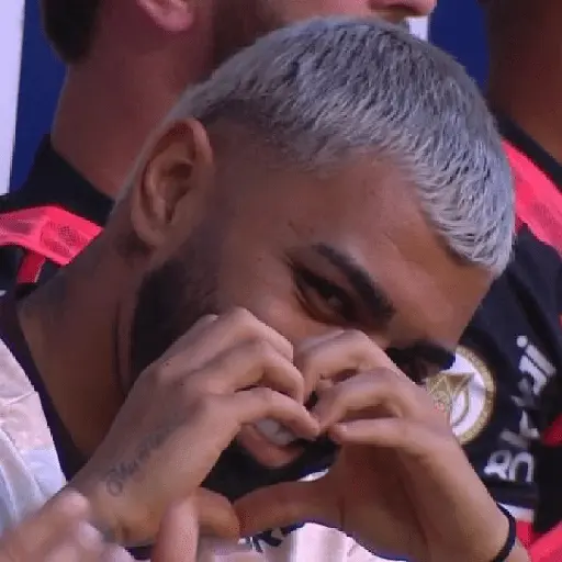 flamengo memee