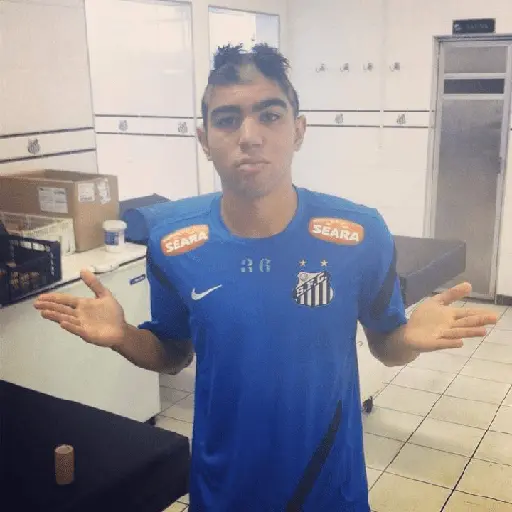 flamengo memee