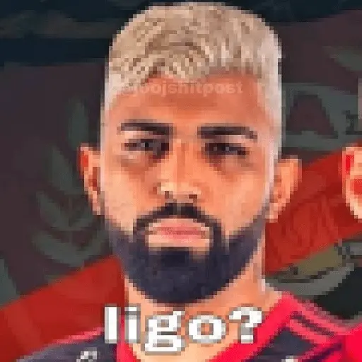 flamengo memee