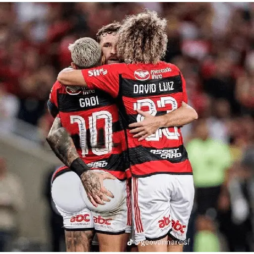 flamengo memee