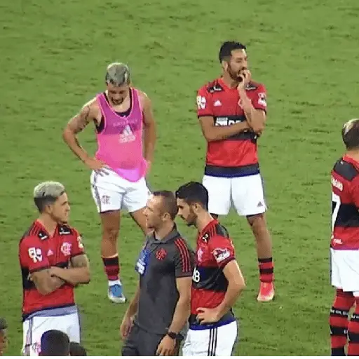 flamengo memee
