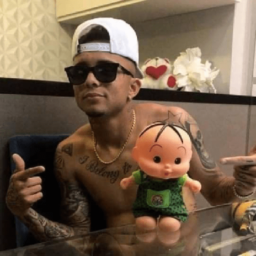 flamengo memee preview