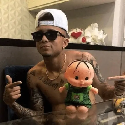 flamengo memee