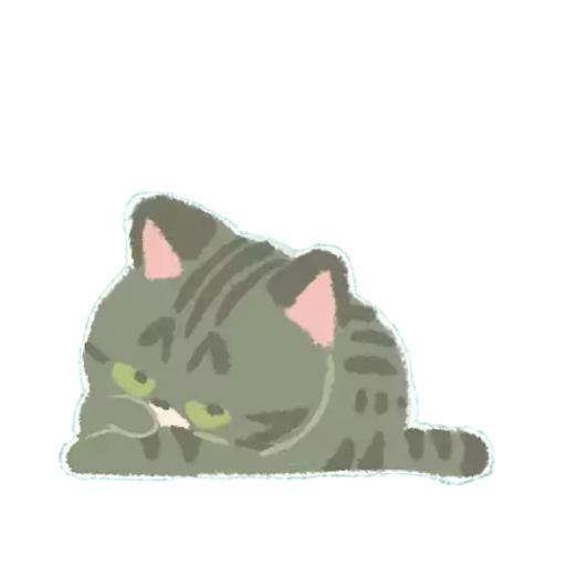 猫奴生活日常