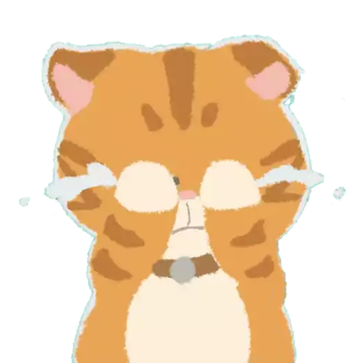 猫奴生活日常