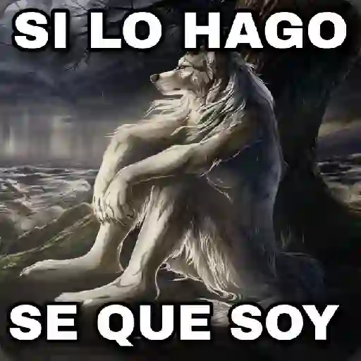 En modo de defensa estoy 🐺🛡️