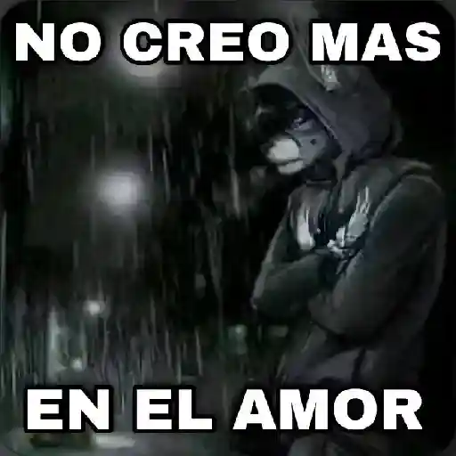 En modo de defensa estoy 🐺🛡️