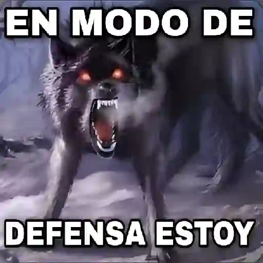 En modo de defensa estoy 🐺🛡️ preview