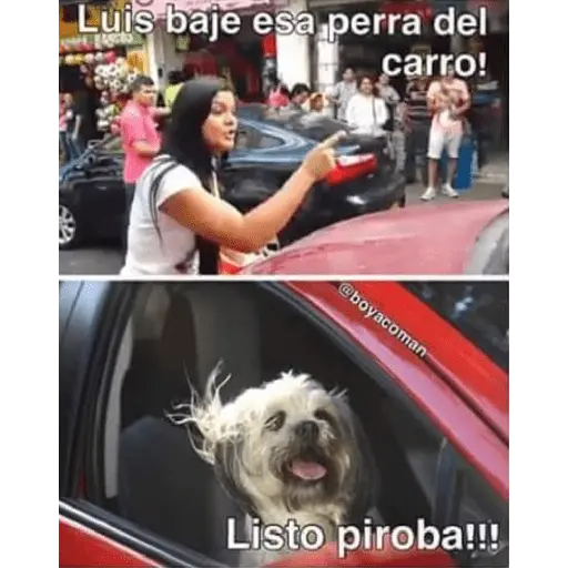 Memes Colombia