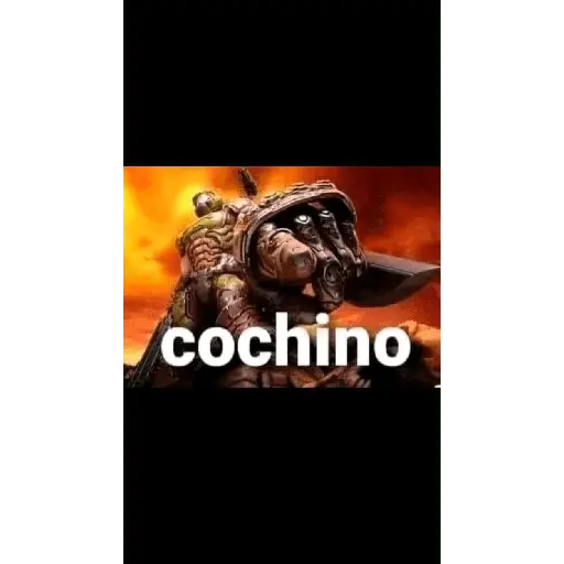 El consejo a Decidido 💀