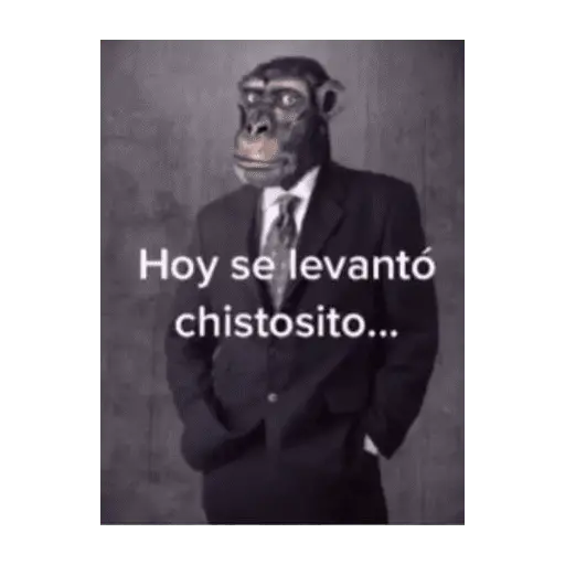 El consejo a Decidido 💀