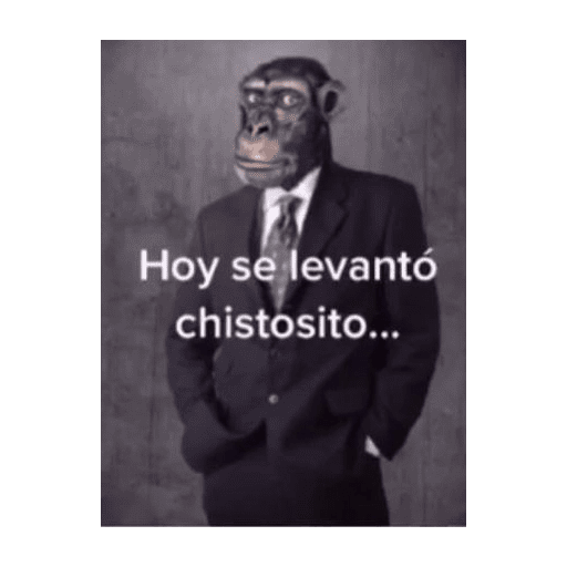 El consejo a Decidido 💀 preview
