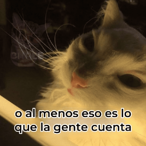 Gatos Good 😼🤟🏻 preview