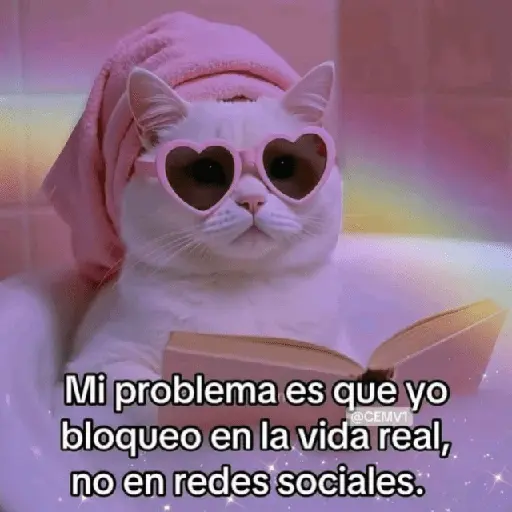 Gatos Good 😼🤟🏻