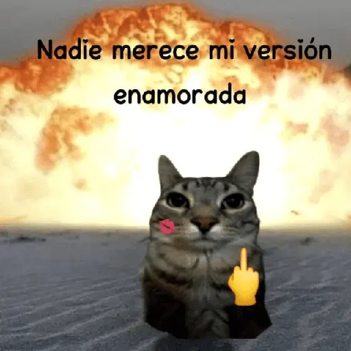 Gatos Good 😼🤟🏻