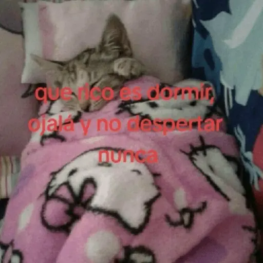 💔 Trauma - Tristeza 😞