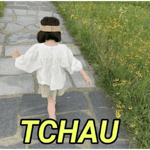 MEMES PRA VOCÊ USAR preview