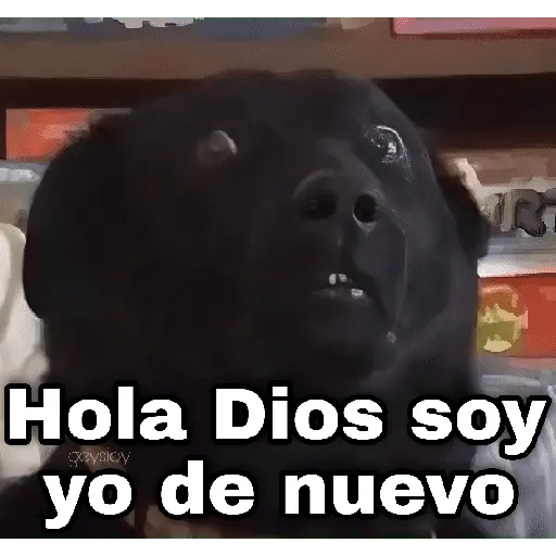✨ Memes mix 7 🔥