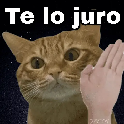 ✨ Memes mix 7 🔥