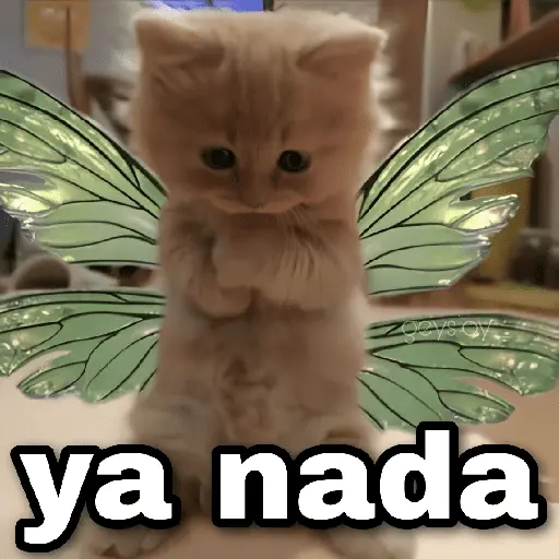✨ Memes mix 7 🔥