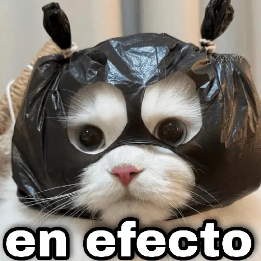 ✨ Memes mix 7 🔥
