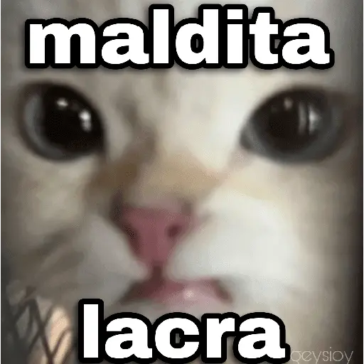 ✨ Memes mix 7 🔥