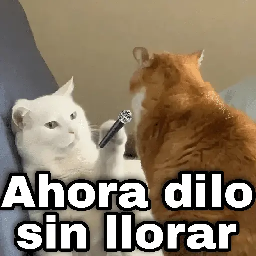 ✨ Memes mix 7 🔥