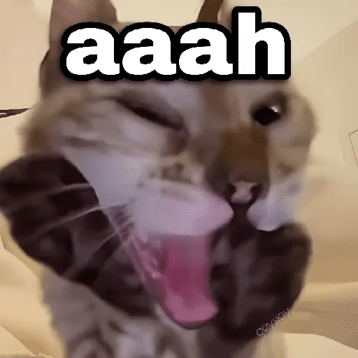✨ Memes mix 7 🔥