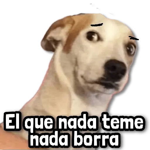 🌊 Stickers sin Filtro #➌ 🌊