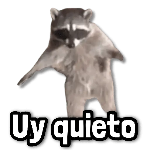 🌊 Stickers sin Filtro #➌ 🌊