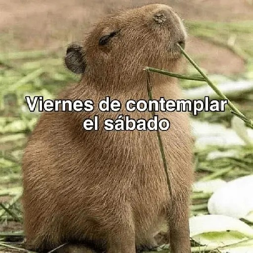 La Semana con Capibaras🦛🗓️✨